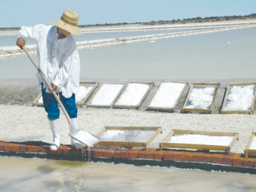 Was ist Fleur de Sel?